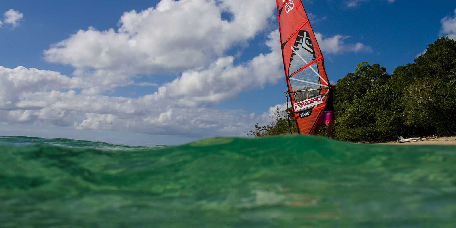 The Great Barrier Reef; shark sponsored windsurfing lessons