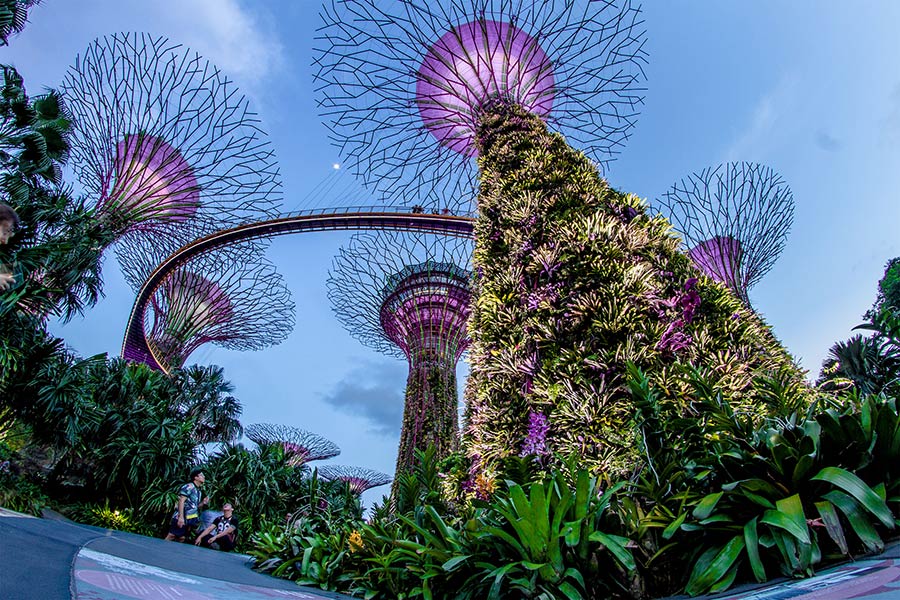 Singapore, Asia's gateway city