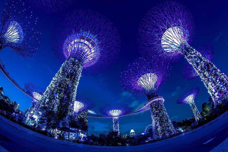 Singapore in 24-Hours